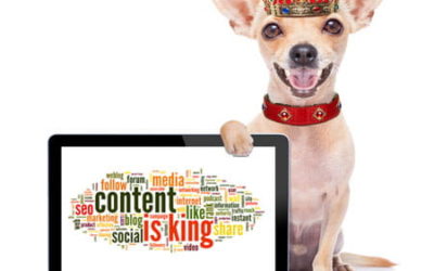 Transformación digital – El contenido es EL REY